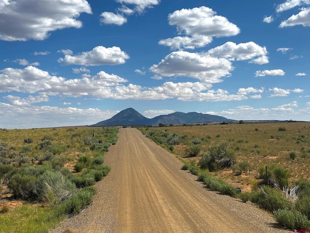 TBD Road 15, Yellow Jacket, CO 81335