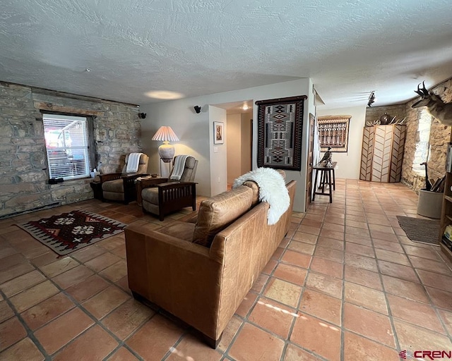 18173 Rd 22, Cortez, CO 81321 - living room with a textured ceiling