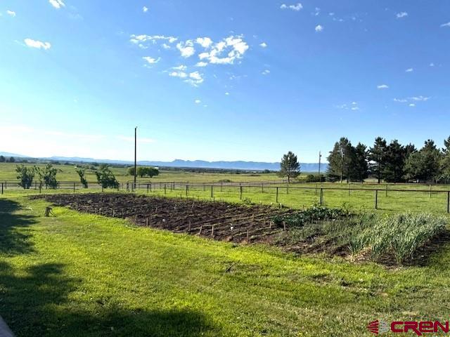 18173 Rd 22, Cortez, CO 81321 - view of yard featuring a view of rural / pastoral area and a mountain view