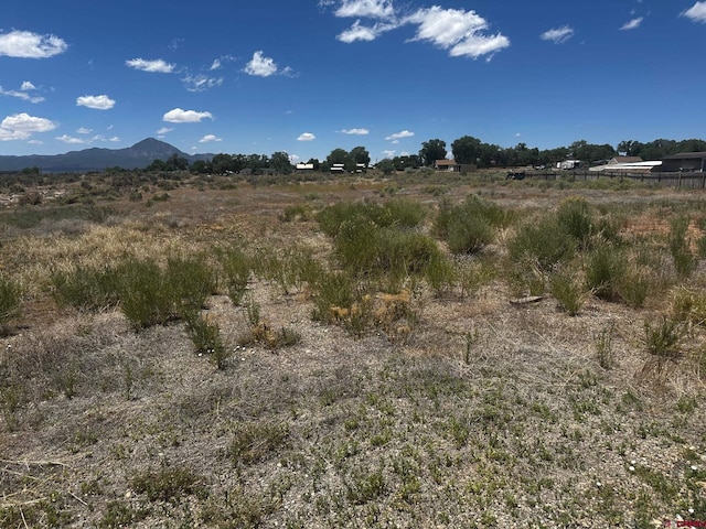 TBD S Chestnut St, Cortez, CO 81321