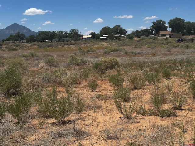 TBD S Chestnut St, Cortez, CO 81321