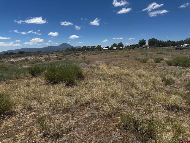 TBD S Chestnut St, Cortez, CO 81321
