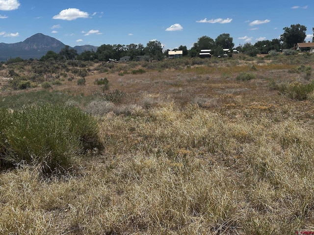 TBD S Chestnut St, Cortez, CO 81321