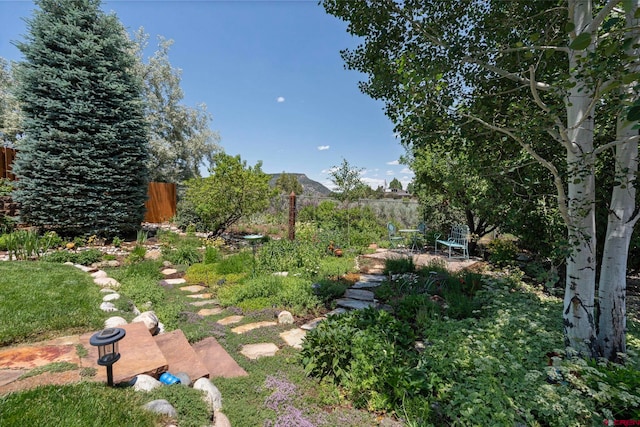 21 Tierra Verde Dr, Durango, CO 81301 - view of yard