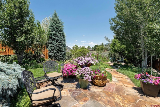 21 Tierra Verde Dr, Durango, CO 81301 - view of patio