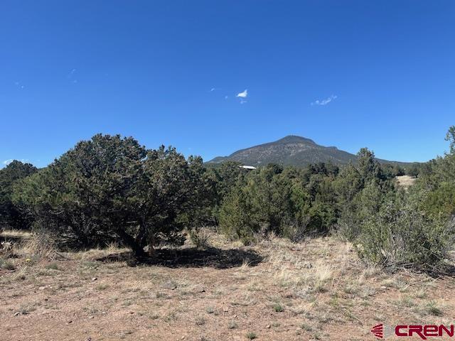 TBD Arapahoe Rd, South Fork, CO 81154