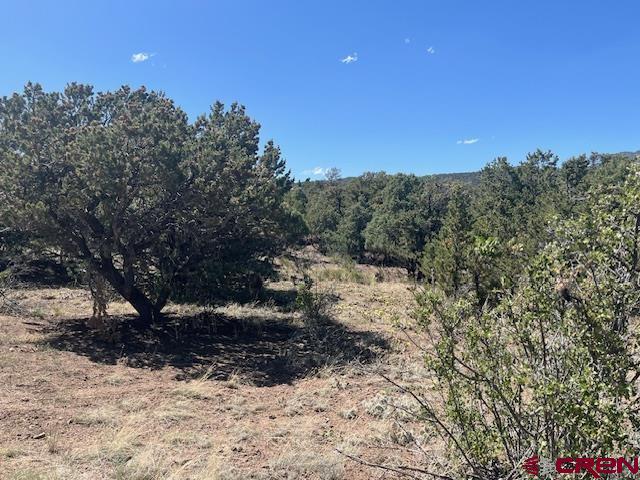 TBD Arapahoe Rd, South Fork, CO 81154