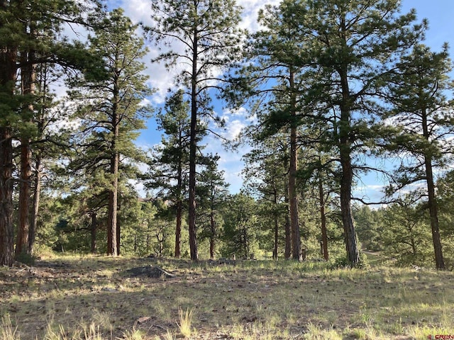LOT10 Poplar Pl, Ridgway, CO 81432