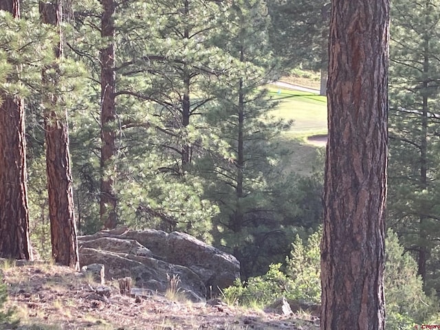 LOT10 Poplar Pl, Ridgway, CO 81432