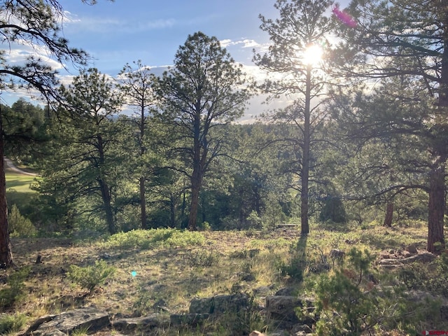 LOT10 Poplar Pl, Ridgway, CO 81432