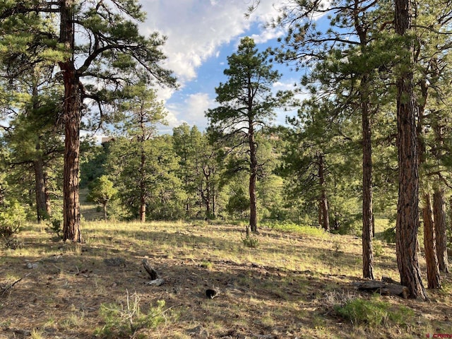 LOT10 Poplar Pl, Ridgway, CO 81432