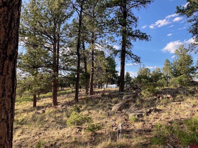 LOT10 Poplar Pl, Ridgway, CO 81432