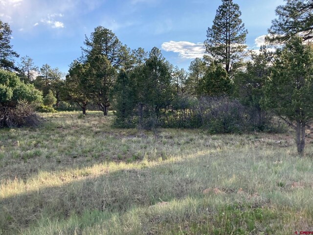 LOT10 Poplar Pl, Ridgway, CO 81432