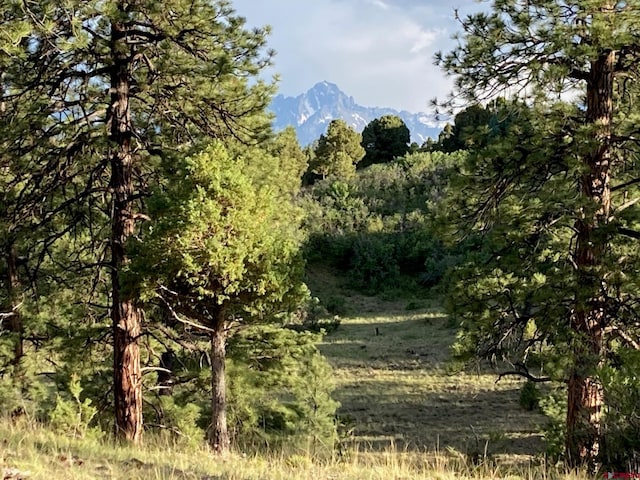 LOT10 Poplar Pl, Ridgway, CO 81432