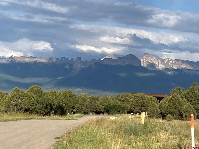 LOT10 Poplar Pl, Ridgway, CO 81432
