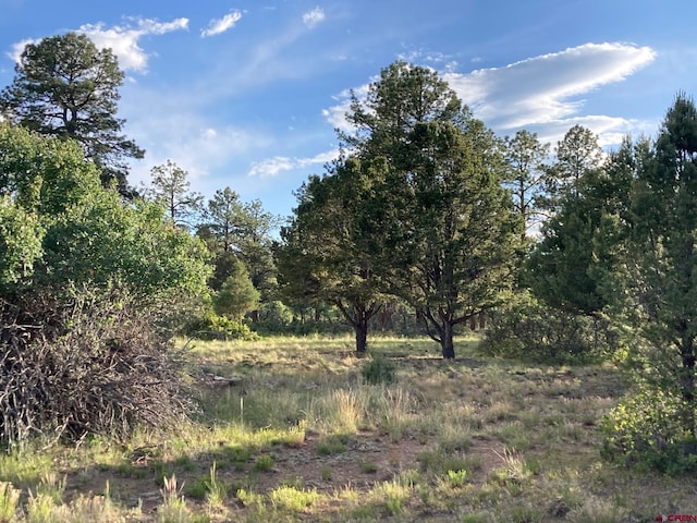 LOT10 Poplar Pl, Ridgway, CO 81432