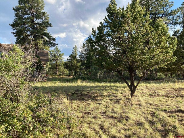 LOT10 Poplar Pl, Ridgway, CO 81432