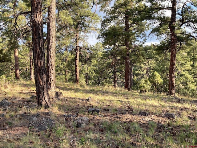 LOT10 Poplar Pl, Ridgway, CO 81432