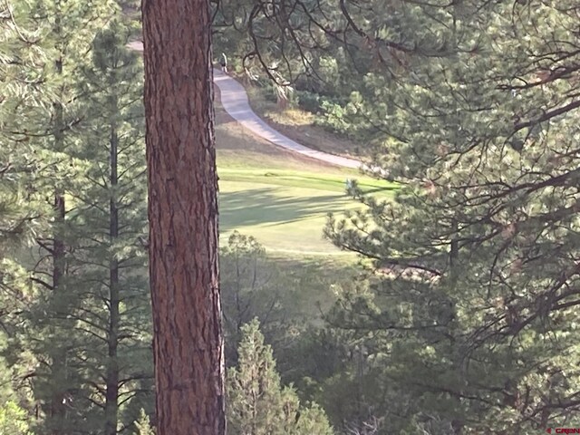 LOT10 Poplar Pl, Ridgway, CO 81432