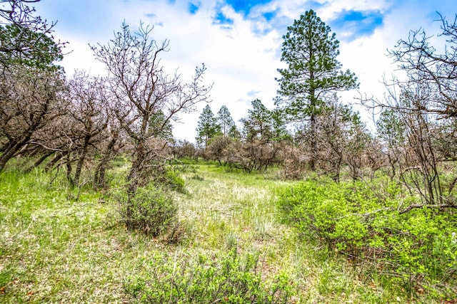 X Klondike Pl, Pagosa Springs, CO 81147