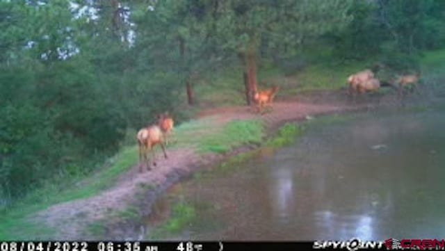 X Klondike Pl, Pagosa Springs, CO 81147