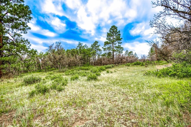 X Klondike Pl, Pagosa Springs, CO 81147
