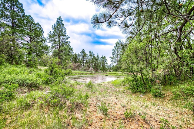 X Klondike Pl, Pagosa Springs, CO 81147