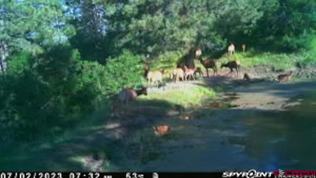 X Klondike Pl, Pagosa Springs, CO 81147