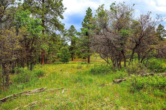 X Klondike Pl, Pagosa Springs, CO 81147