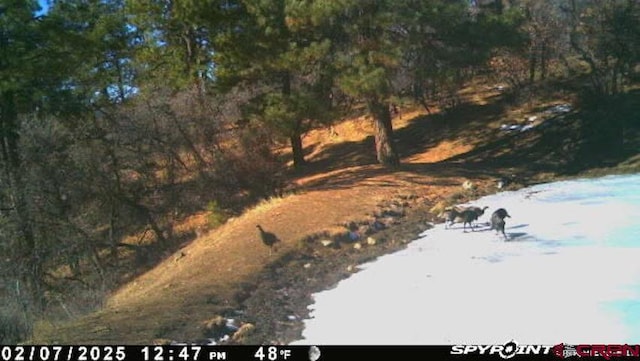 X Klondike Pl, Pagosa Springs, CO 81147