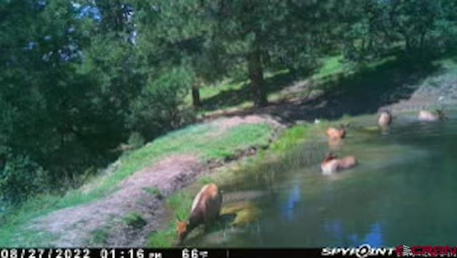 X Klondike Pl, Pagosa Springs, CO 81147