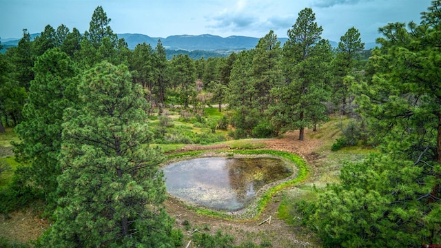 X Klondike Pl, Pagosa Springs, CO 81147