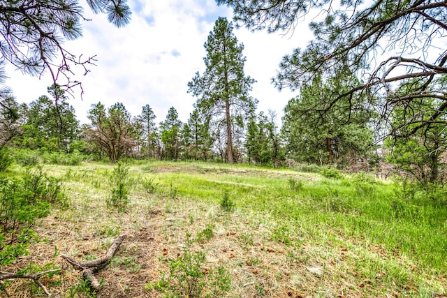 X Klondike Pl, Pagosa Springs, CO 81147