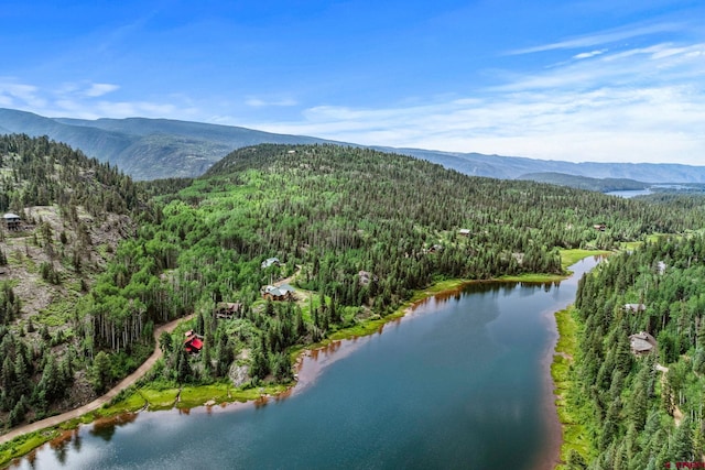 580 Lake Purgatory Dr, Durango, CO 81301 - bird's eye view of a forest and a water and mountain view