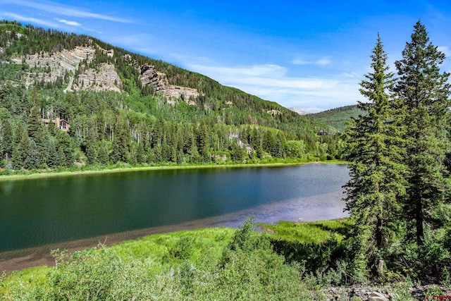 580 Lake Purgatory Dr, Durango, CO 81301 - water view featuring a heavily wooded area and a mountain backdrop