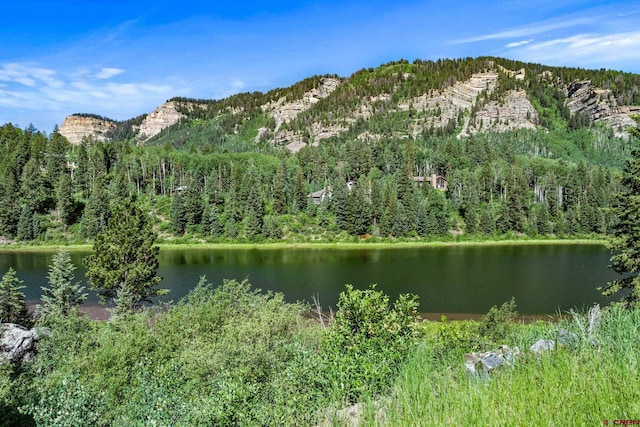 580 Lake Purgatory Dr, Durango, CO 81301 - water view featuring a forest and mountains
