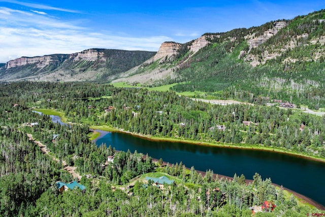 580 Lake Purgatory Dr, Durango, CO 81301 - view of mountain background featuring a forest and a nearby body of water