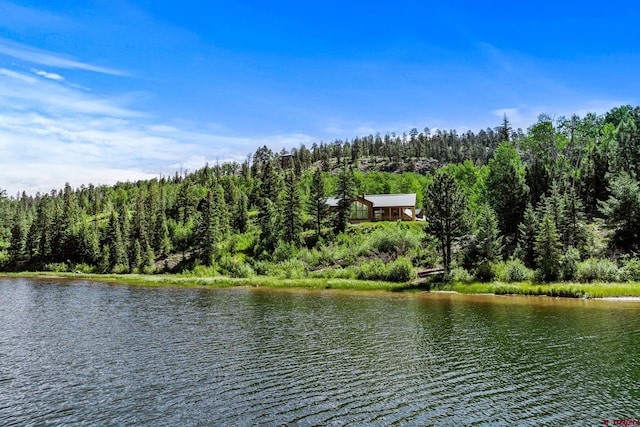 580 Lake Purgatory Dr, Durango, CO 81301 - water view with a forest