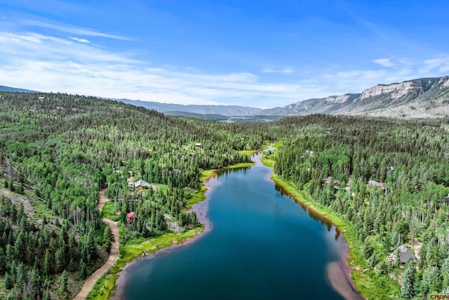 580 Lake Purgatory Dr, Durango, CO 81301 - bird's eye view of a heavily wooded area and a water and mountain view