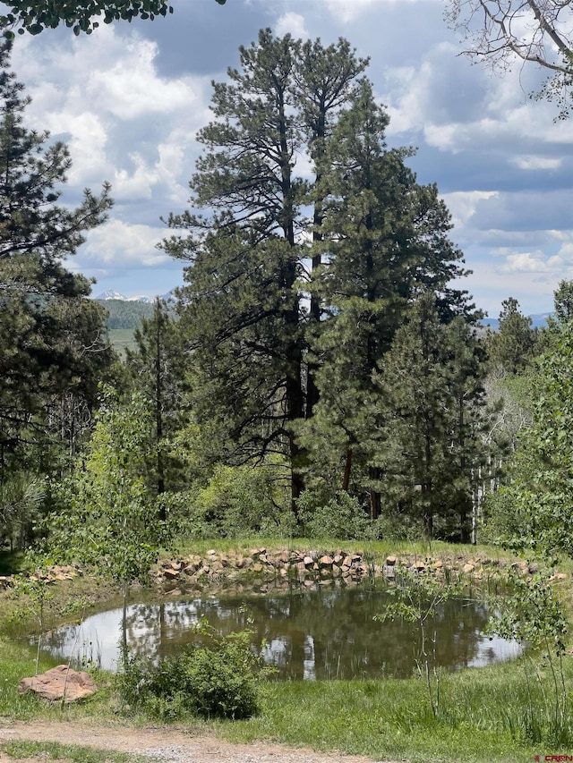 515 Bristol Rd, Placerville, CO 81430 - water view with a heavily wooded area