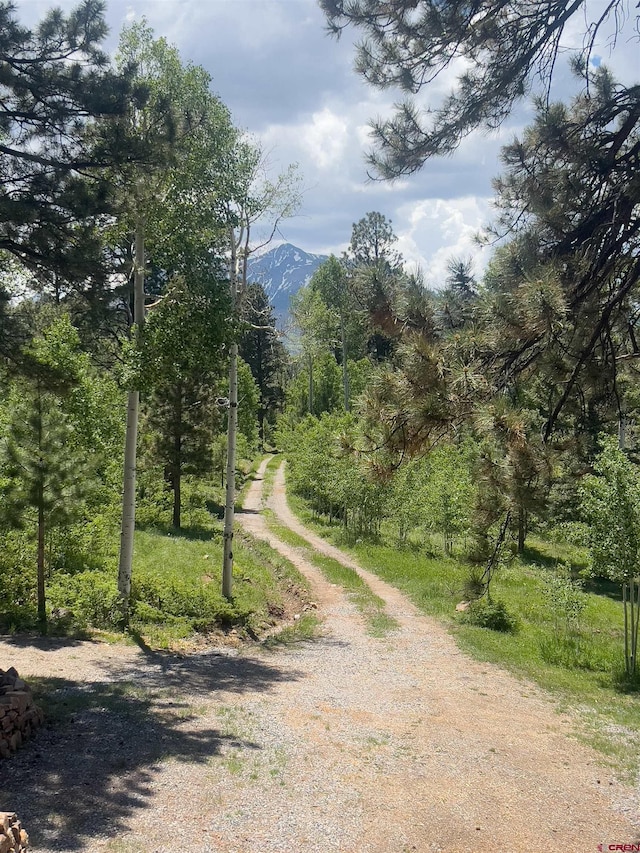 515 Bristol Rd, Placerville, CO 81430 - view of road with a mountain view and a wooded view