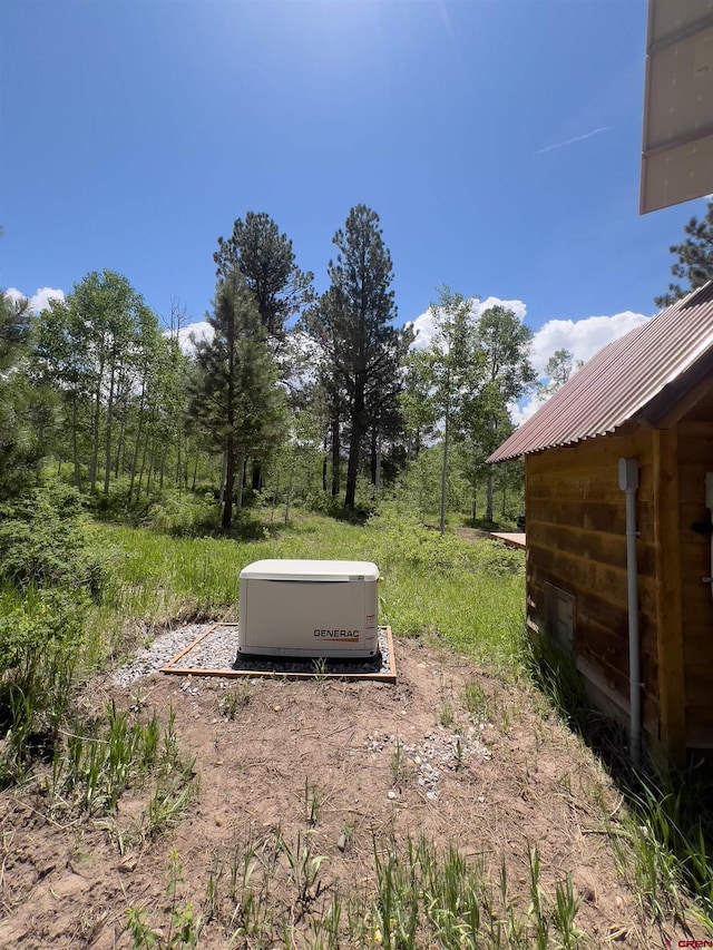 515 Bristol Rd, Placerville, CO 81430 - view of yard
