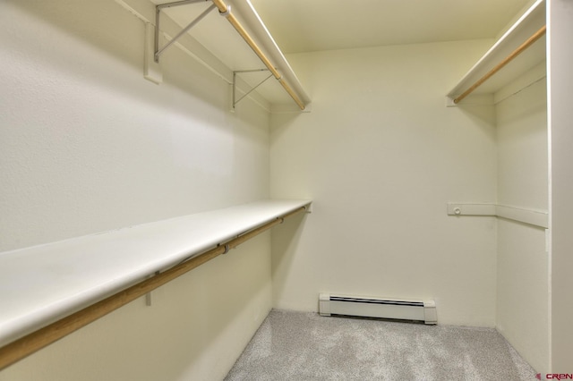 678 N Lakeside Dr, Durango, CO 81303 - spacious closet featuring a baseboard heating unit and carpet floors
