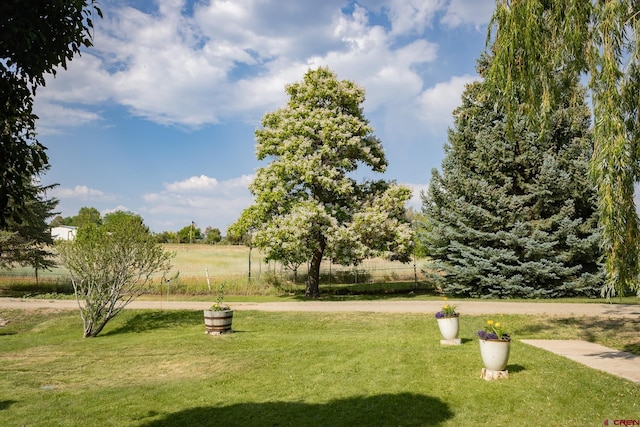 27126 Road R, Dolores, CO 81323 - view of property's community featuring a lawn