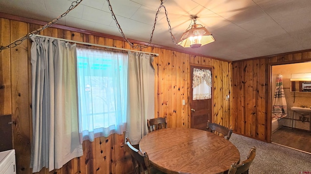 59 Willow St, South Fork, CO 81154 - dining space featuring healthy amount of natural light, wooden walls, and carpet flooring