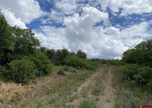 TBD Cross Creek Rd, Hesperus, CO 81326