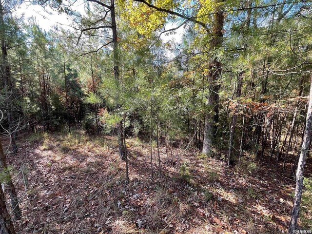 136 Glazy Acres Ln, Hot Springs, AR 71909 - photo 4