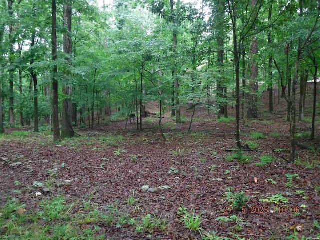 47 Segovia Dr, Hot Springs, AR 71909 - view of wooded area