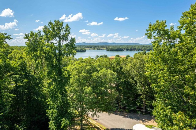 125 Luek Ln, Hot Springs, AR 71913 - photo 48