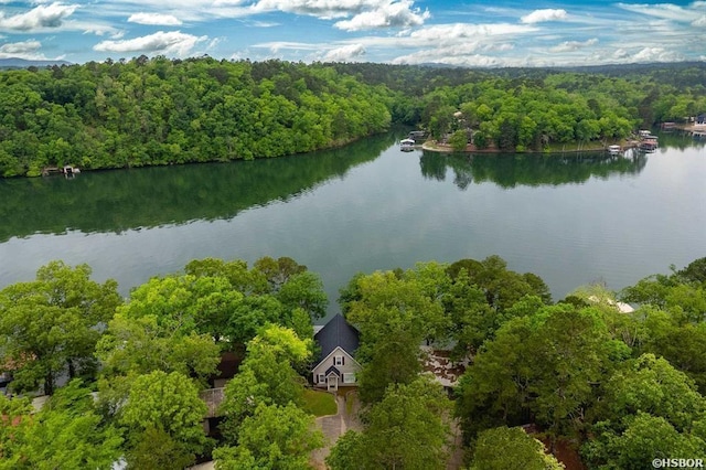 1745 Thornton Ferry Rd, Hot Springs, AR 71913 - drone / aerial view with a wooded view and a water view